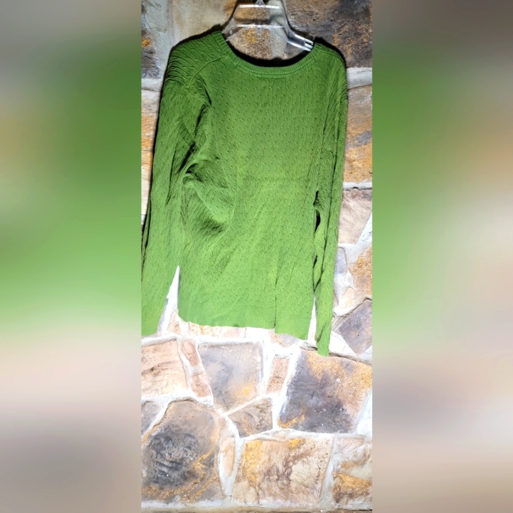 Basic additions green long sleeve Sweater